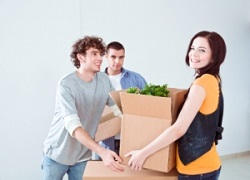 home removals DA1
